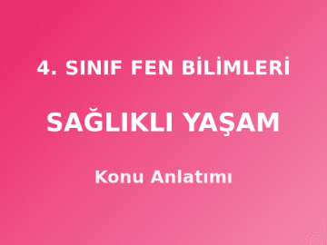 4. Sınıf Fen Bilimleri Sağlıklı Yaşam Konu Anlatımı