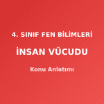 4. Sınıf Fen Bilimleri İnsan Vücudu Konu Anlatımı