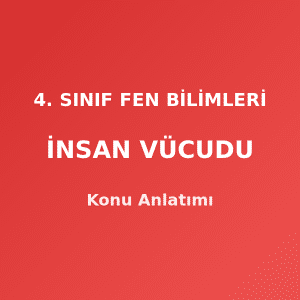4. Sınıf Fen Bilimleri İnsan Vücudu Konu Anlatımı
