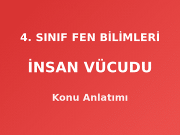 4. Sınıf Fen Bilimleri İnsan Vücudu Konu Anlatımı
