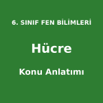Hücre Konu Anlatımı 6. Sınıf Fen Bilimleri