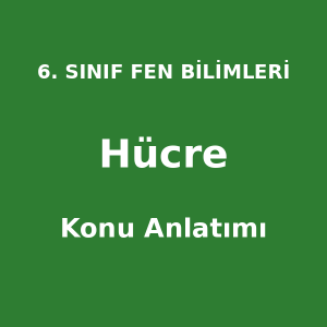 Hücre Konu Anlatımı 6. Sınıf Fen Bilimleri