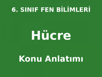 Hücre Konu Anlatımı 6. Sınıf Fen Bilimleri