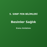 5. Sınıf Fen Besinler ve Sağlık Konu Anlatımı