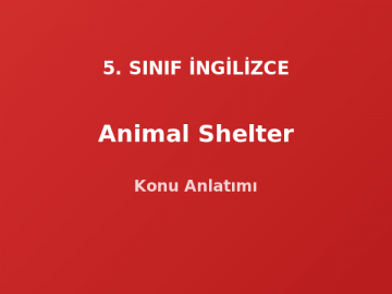 5. Sınıf İngilizce Animal Shelter Konu Anlatımı