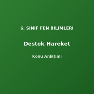 6. Sınıf Fen Destek Hareket Konu Anlatımı