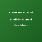 6. Sınıf Fen Sindirim Sistemi Konu Anlatımı