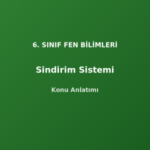6. Sınıf Fen Sindirim Sistemi Konu Anlatımı
