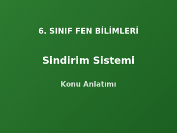 6. Sınıf Fen Sindirim Sistemi Konu Anlatımı