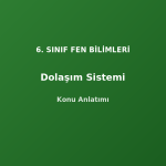 6. Sınıf Fen Dolaşım Sistemi Konu Anlatımı