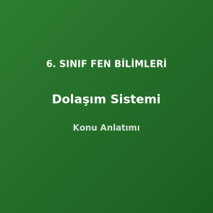 6. Sınıf Fen Dolaşım Sistemi Konu Anlatımı