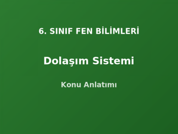 6. Sınıf Fen Dolaşım Sistemi Konu Anlatımı