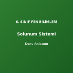 6. Sınıf Fen Solunum Sistemi Konu Anlatımı