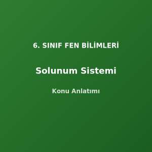 6. Sınıf Fen Solunum Sistemi Konu Anlatımı