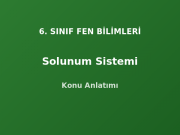6. Sınıf Fen Solunum Sistemi Konu Anlatımı