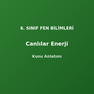 6. Sınıf Fen Canlılar Enerji Konu Anlatımı