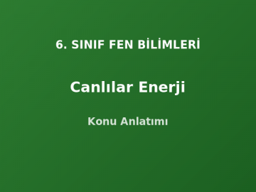 6. Sınıf Fen Canlılar Enerji Konu Anlatımı