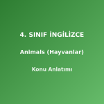 4. Sınıf İngilizce Animals (Hayvanlar) Konu Anlatımı
