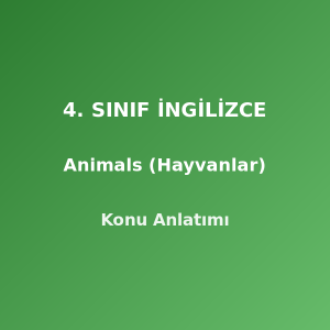4. Sınıf İngilizce Animals (Hayvanlar) Konu Anlatımı