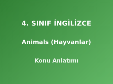 4. Sınıf İngilizce Animals (Hayvanlar) Konu Anlatımı