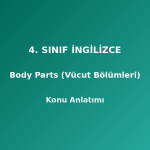 4. Sınıf İngilizce Body Parts (Vücut Bölümleri) Konu Anlatımı
