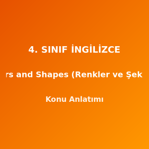 4. Sınıf İngilizce Colors and Shapes (Renkler ve Şekiller) Konu Anlatımı