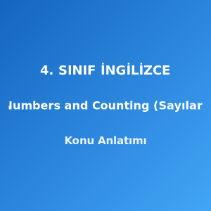 4. Sınıf İngilizce Numbers and Counting (Sayılar) Konu Anlatımı