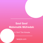 Sınıf Sınıf Matematik Müfredatı - 1-8. Sınıf Tüm Konular