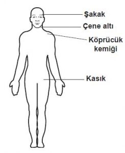 Ehliyet Sınav Soruları - 16 Ocak 2026