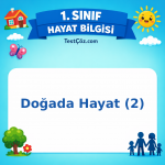 1. Sınıf Hayat Bilgisi Doğada Hayat (2) Görseli