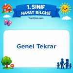 1. Sınıf Hayat Bilgisi Genel Tekrar Testi Görseli