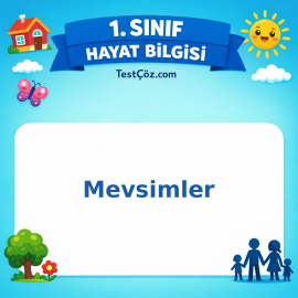 1. Sınıf Hayat Bilgisi Mevsimler Testi Görseli