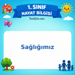 1. Sınıf Hayat Bilgisi Sağlığımız Testi Görseli