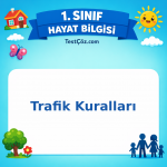 1. Sınıf Hayat Bilgisi Trafik Kuralları Testi Görseli
