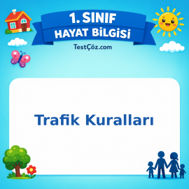 1. Sınıf Hayat Bilgisi Trafik Kuralları Testi Görseli
