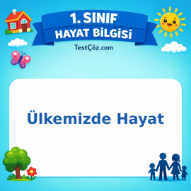 1. Sınıf Hayat Bilgisi Ülkemizde Hayat Görseli