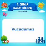 1. Sınıf Hayat Bilgisi Vücudumuz Testi Görseli