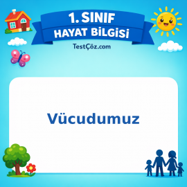 1. Sınıf Hayat Bilgisi Vücudumuz Testi Görseli