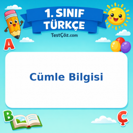 1. Sınıf Türkçe Cümle Bilgisi Görseli