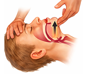 23 Şubat 2026 Ehliyet Sınavı Hazırlık Soruları