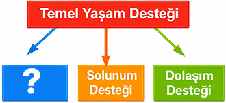 25 Şubat 2026 Ehliyet Sınavı Hazırlık Soruları