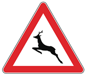 28 Şubat 2026 Ehliyet Sınavı Hazırlık Soruları