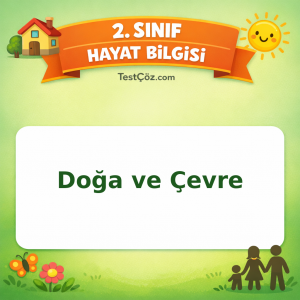 2. Sınıf Hayat Bilgisi Doğa ve Çevre Testi Görseli