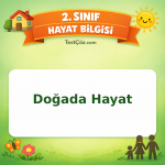 2. Sınıf Hayat Bilgisi Doğada Hayat Testi Görseli