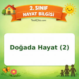 2. Sınıf Hayat Bilgisi Doğada Hayat (2) Testi Görseli