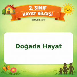 2. Sınıf Hayat Bilgisi Doğada Hayat Testi Görseli