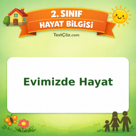 2. Sınıf Hayat Bilgisi Evimizde Hayat Testi Görseli