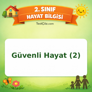 2. Sınıf Hayat Bilgisi Güvenli Hayat (2) Testi Görseli