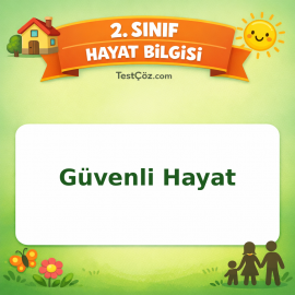 2. Sınıf Hayat Bilgisi Güvenli Hayat Testi Görseli