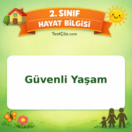 2. Sınıf Hayat Bilgisi Güvenli Yaşam Testi Görseli